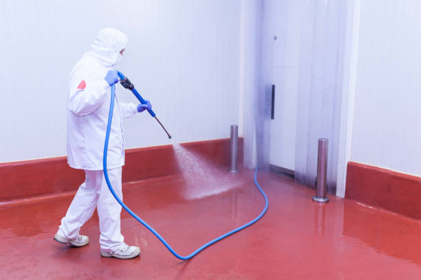 Best Roof Washing  in Ada, OK